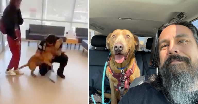 Heartwarming Reunion: Determined Man Reunites with Beloved Lost Dog After 4 Years of Searching